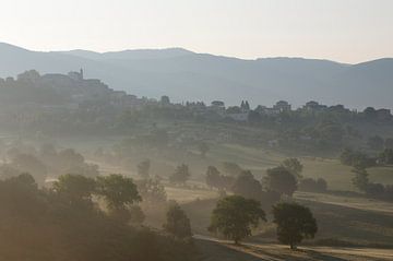 Nebel und Morgensonne in den Hügeln rund um Cantalupo, Italien