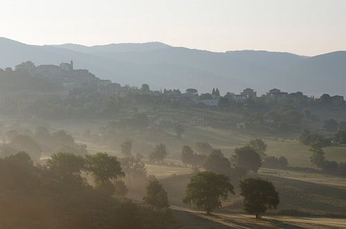Fog and morning sun in the hills around Cantalupo, Italy