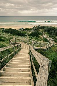 Naar het strand bij Bruny Island