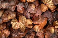Bronze leaves with water drops by Art & Soul Creations thumbnail
