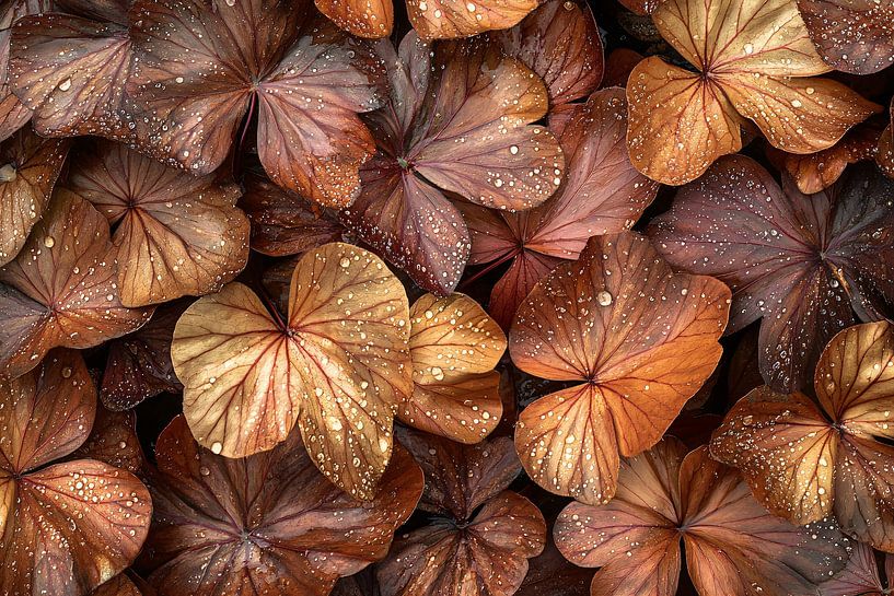 Bronze leaves with water drops by Art & Soul Creations