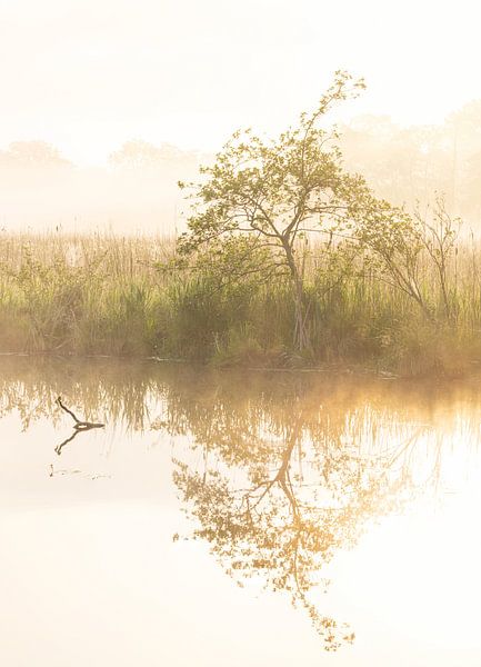 Sunrise Drenthe (Netherlands) by Marcel Kerdijk