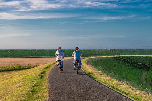 Cycling in the evening light on the summer dyke of Westhoek, Friesland.