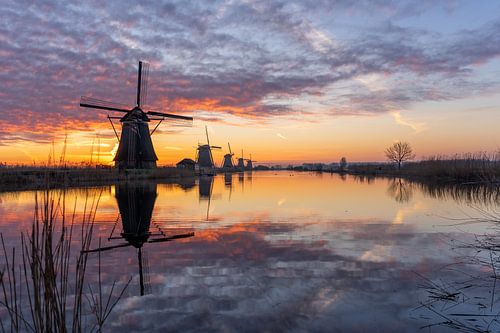 Windmills Kinderdijk