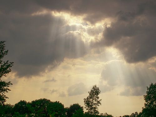 Het regent zonnestralen