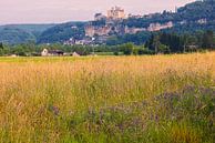 Château de Beynac in Beynac-et-Cazenac, France by Henk Meijer Photography thumbnail