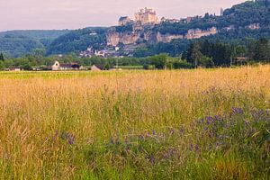 Château de Beynac in Beynac-et-Cazenac, Frankreich