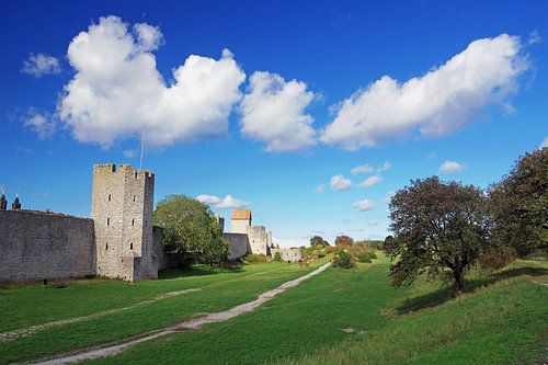 Die Stadtmauer on Visby
