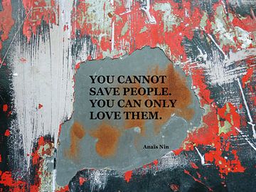 You Cannot Save People You Can Only Love Them
