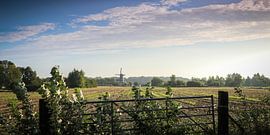 Blick auf die Getreidemühle in Werkhoven (NL), vom Achterdijk aus im Frühherbst. von Arthur Puls Photography