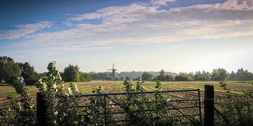 Blick auf die Getreidemühle in Werkhoven (NL), vom Achterdijk aus im Frühherbst. von Arthur Puls Photography