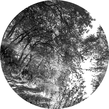 Twisted reflections in zwart-wit van Anouschka Hendriks