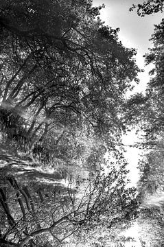 Twisted reflections en noir et blanc sur Anouschka Hendriks