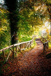 Automne