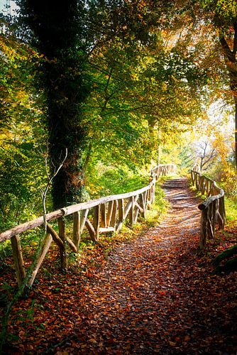 Automne sur Rene scheuneman