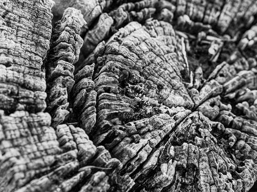 Créé par la nature