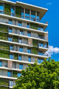 Groene gevel Erfurt - architectuur en natuur van Mixed media vector arts