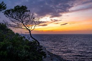 Kort na zonsondergang Ibiza van Dennis Eckert