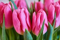 Roze tulpen van Ad Jekel thumbnail