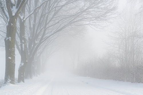 een mistige besneeuwde weg in de limburgse heuvels I