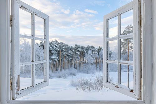 Window to the winter landscape