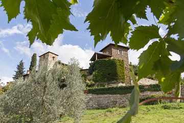 Toskana-Dorf durch das Traubenblatt hindurch