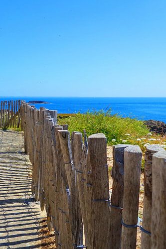 Een pad vol zomerse dromen