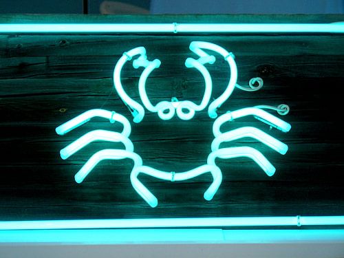 A Spanish fishmonger's Crab by René van Stekelenborg