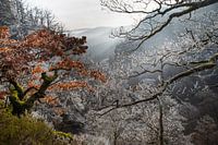 Winter in the Vosges