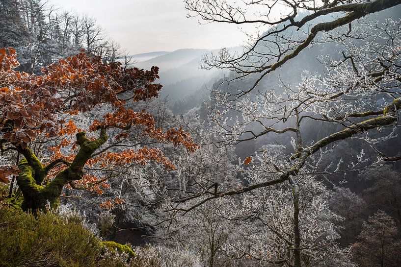 Winter in de Vogezen van Tanja Voigt