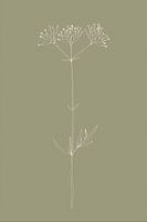 Boho-Botanische Blume auf Salbeigrün Nr. 3