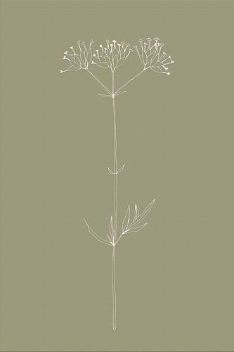 Boho botanische bloem op saliegroen nr. 3