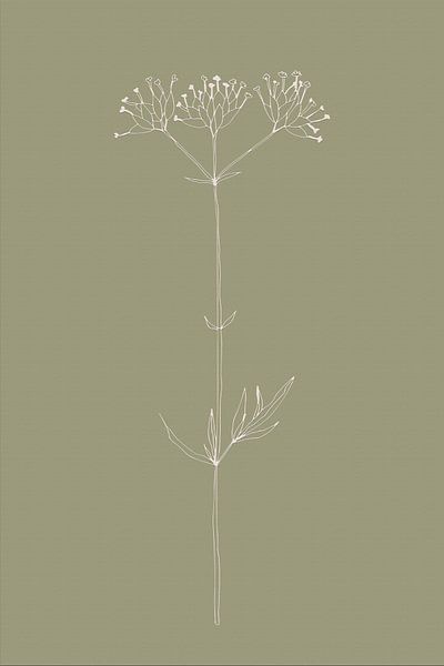 Boho botanical flower on sage green no. 3 by Dina Dankers
