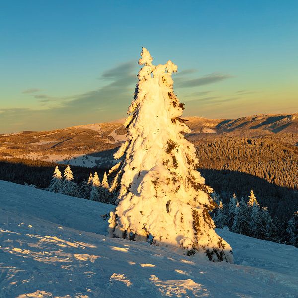 Belchen at sunset in winter in the Black Forest by Markus Lange