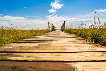 Beach path with wooden bridge at the North Sea by Animaflora PicsStock