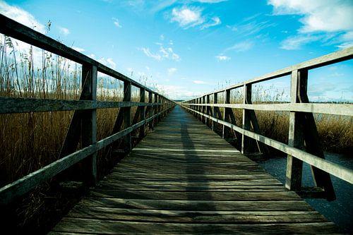 De weg naar de vrede