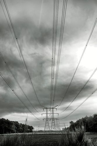 "De natuur achromatisch gezien"