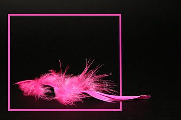 Pink Feather van Yvonne Smits
