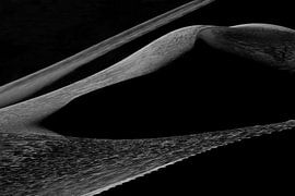 DÉSERT 12 sur Miroslav Ptacek