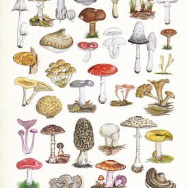 Mushrooms van Jasper de Ruiter