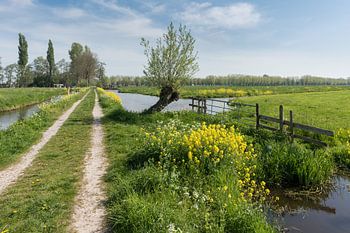 Zone de silence dans les polders près de Hoornaar