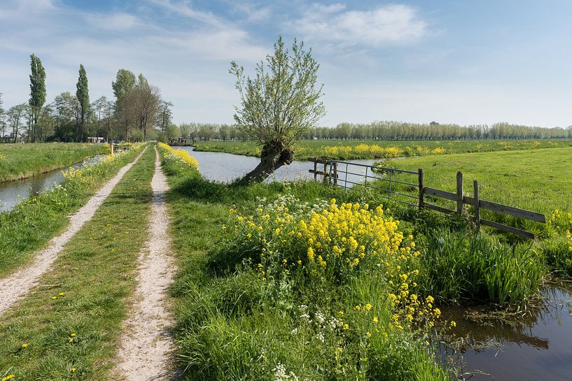 Stiltegebied in polders bij Hoornaar van Beeldbank Alblasserwaard