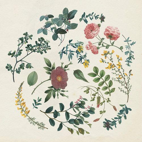 Victorian Garden II, Wild Apple Portfolio