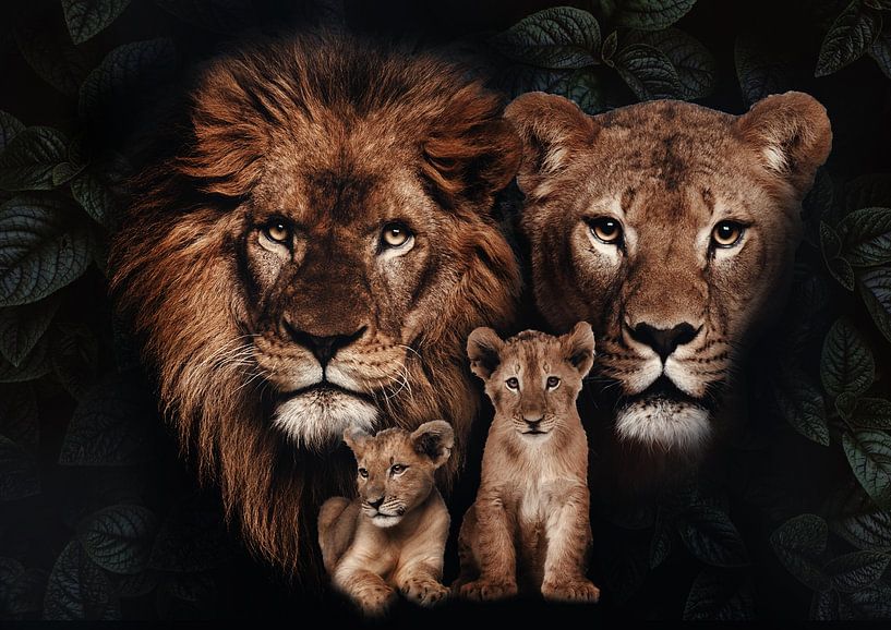 Lion family with 2 cubs by Bert Hooijer