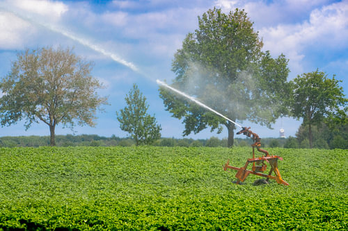 Am Stadtrand von Roermond besprüht ein Landwirt sein Land. Alle Wassermanager in den Niederlanden se