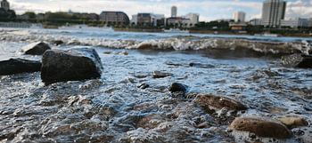 Rushing Rhineside – Les berges de Cologne
