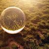 Glazen bol op grasveld en in de ochtendzon van Besa Art