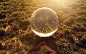 Glaskugel auf Grasfläche und im morgendlichen Sonnenschein von Besa Art