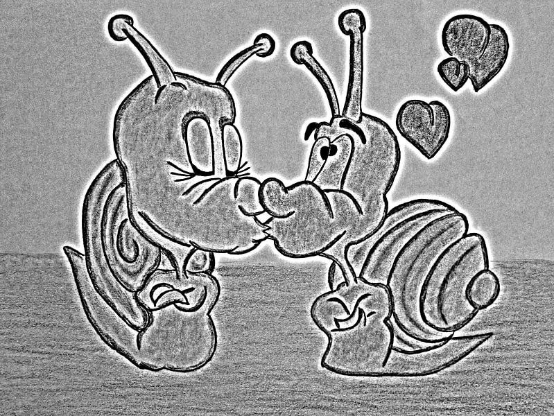 Snails ( drawing ) by Jose Lok