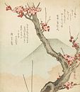 Le mont Fuji et un prunier en fleur, Teisai Hokuba, vers 1825 par Creative Masters Aperçu